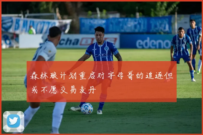 森林狼计划重启对字母哥的追逐但或不愿交易麦丹